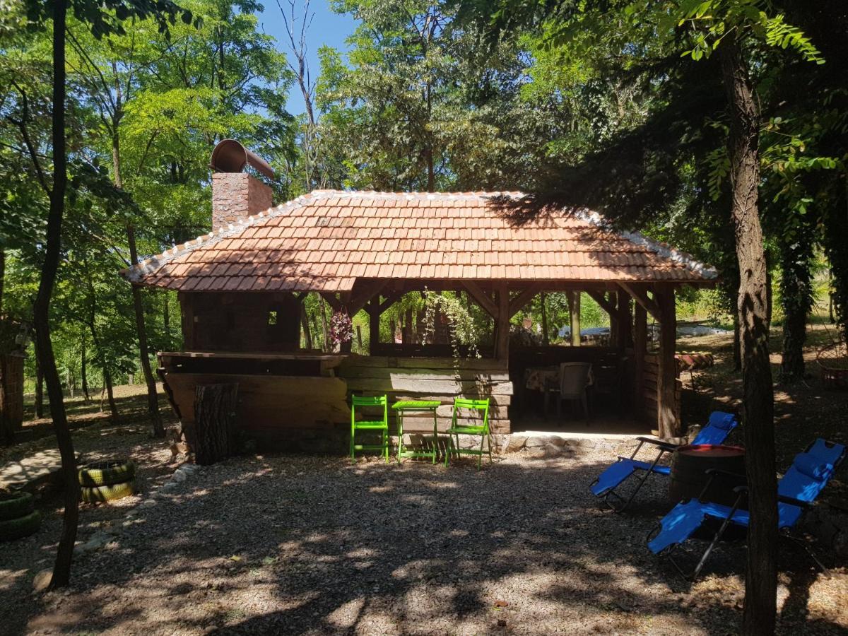 Villa Konaciste Mali Izvor Boljevac Exterior foto